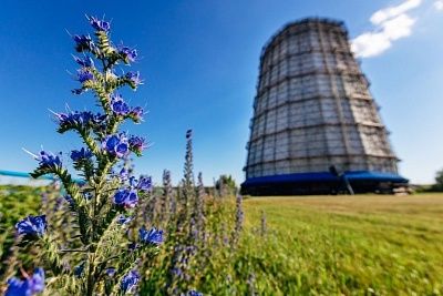 Алтайский филиал СГК активно участвует в экологических инициативах