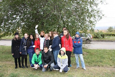 Зеленая дружина