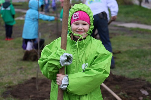 «Зеленая дружина СГК» начала традиционные весенние высадки деревьев