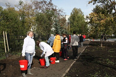 Зеленая дружина