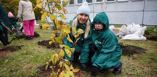 Сирень для первоклашек: в красноярской школе №16 прошел Экомарафон