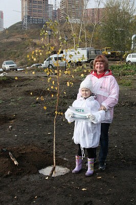 Зеленая дружина