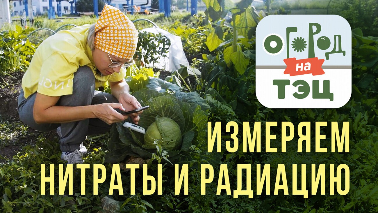 Огород на ТЭЦ: измеряем нитраты в овощах и уровень радиации