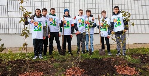 Сорок саженцев сирени украсили территорию школы в мкр. Солнечный в Красноярске