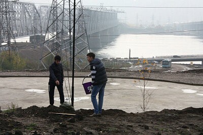 Зеленая дружина