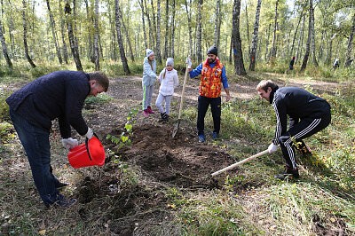 Зеленая дружина