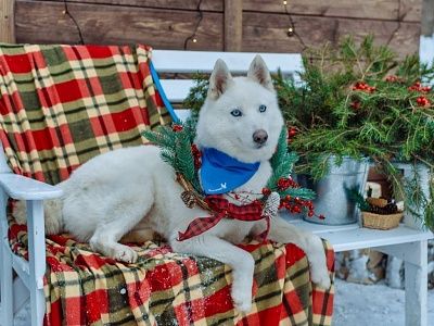 Мероприятие в поддержку проекта «За живое» в Барнауле. Фоторепортаж
