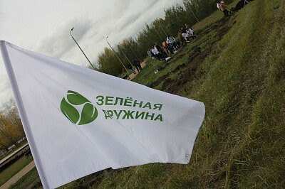 Зеленая дружина