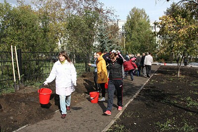 Зеленая дружина