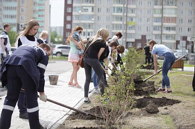 «Экомарафон – 2017»: как мы в Красноярске 1500 деревьев посадили