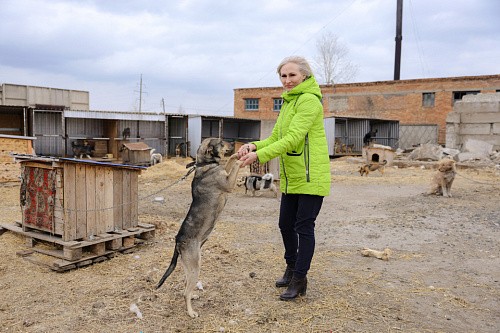 Бимка, Бусинка и другие: как проект «За живое» изменил собачьи жизни