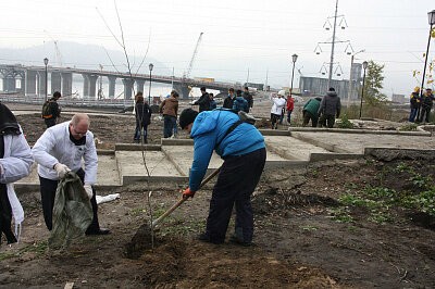 Зеленая дружина