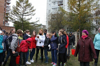 Зеленая дружина