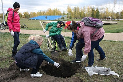 Зеленая дружина