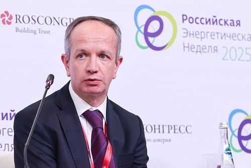 На РЭН-2025 призвали учесть приоритет развития энергетики при корректировке федерального проекта «Чистый воздух»