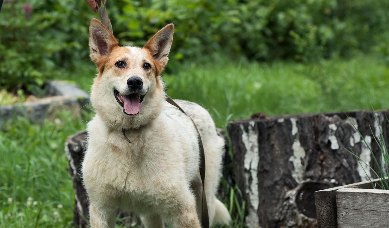 Из Сибири на Урал и обратно. В октябре проект «За живое» проходит сразу в двух регионах