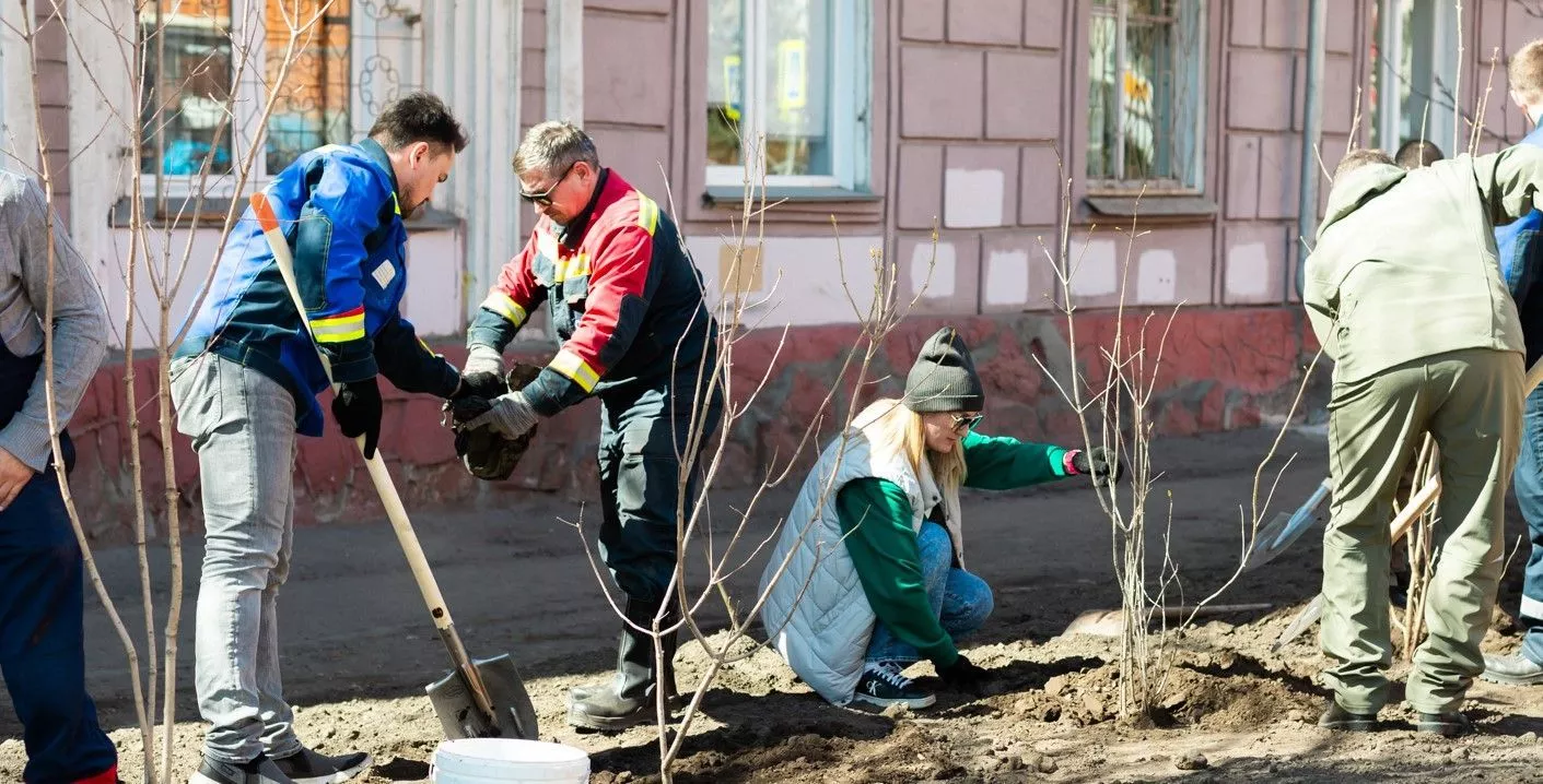 СГК начала сезон благоустройства в Красноярске с посадок сирени