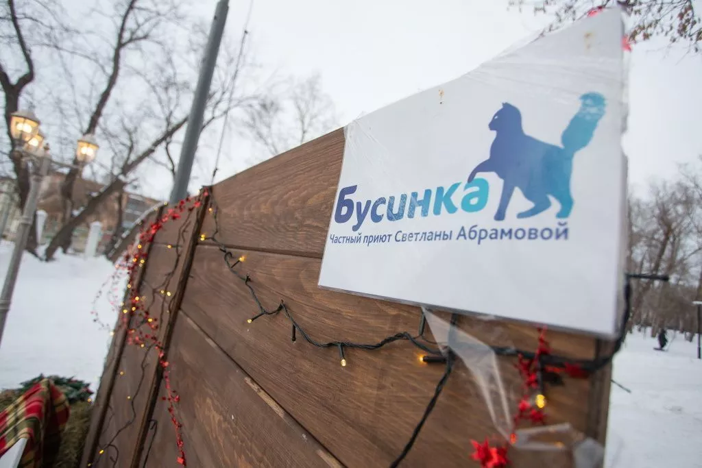 Мероприятие в поддержку проекта «За живое» в Барнауле. Фоторепортаж